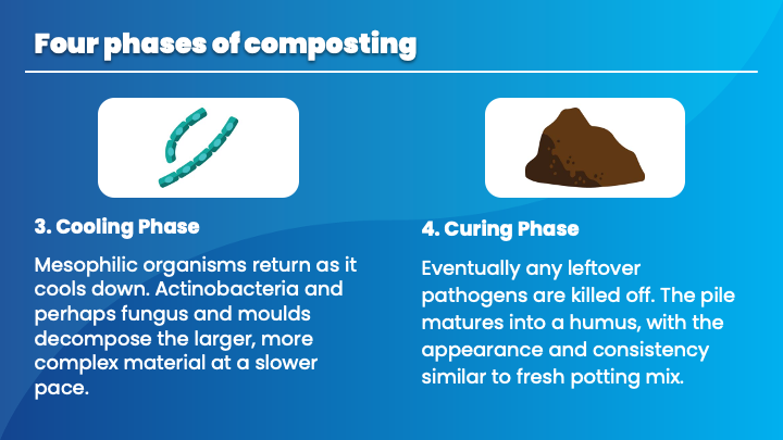 Tiny Homes Expo Slide 10